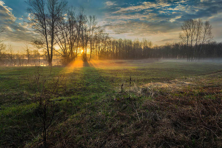 Лучи жизни