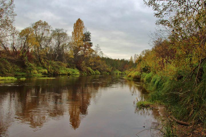 Осеннее раздумье.