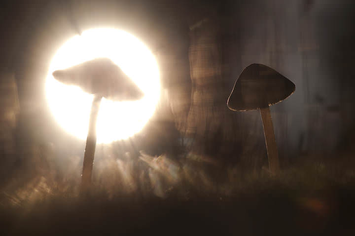 Встреча с UFO