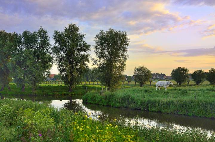 A colorful summer morning.