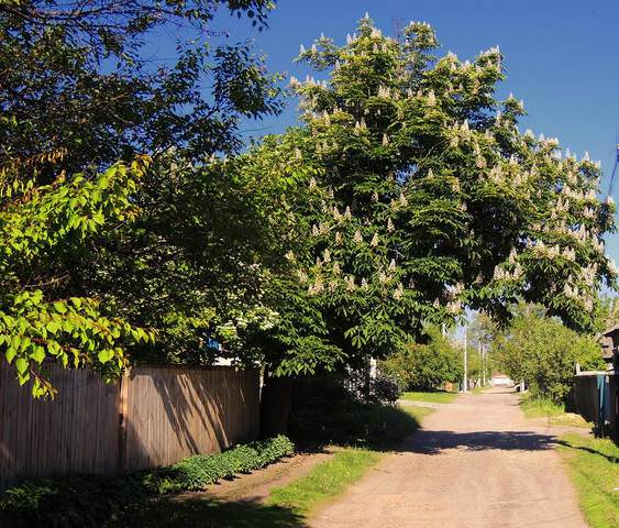 Улочка