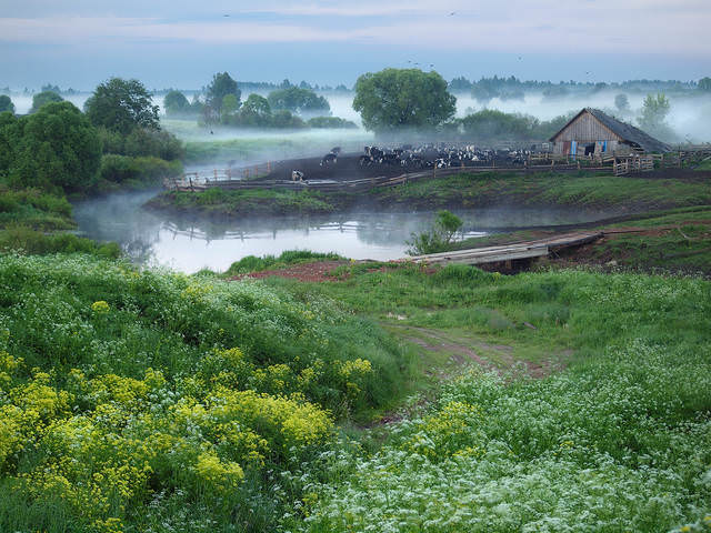 Осеневская утренняя...