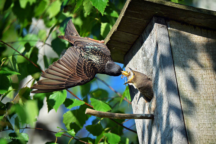 DSC_5850_Всё включено