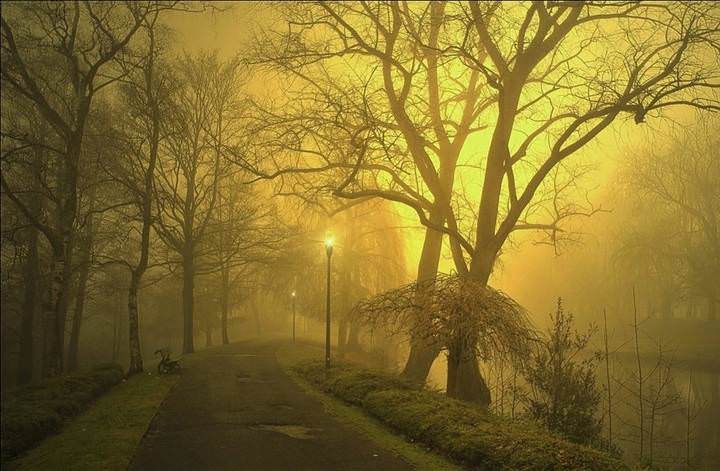 A mysterious morning.