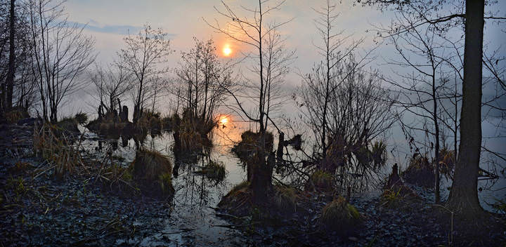 DSC_На озере утро
