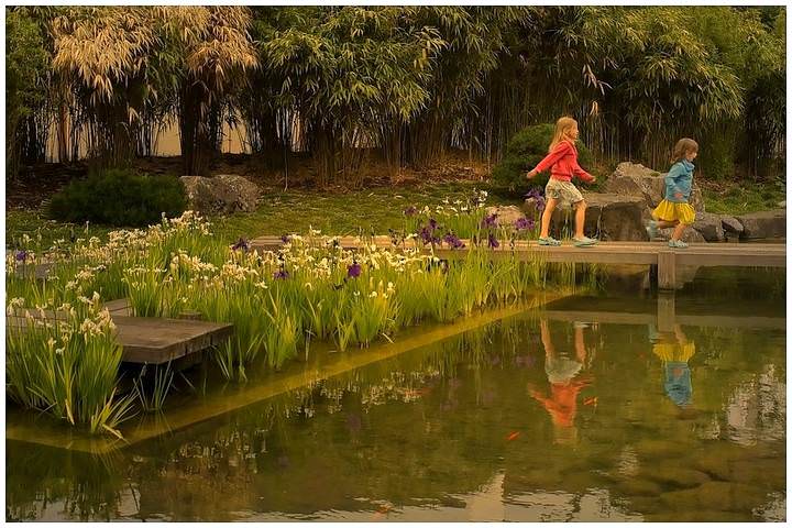 Play in the park.