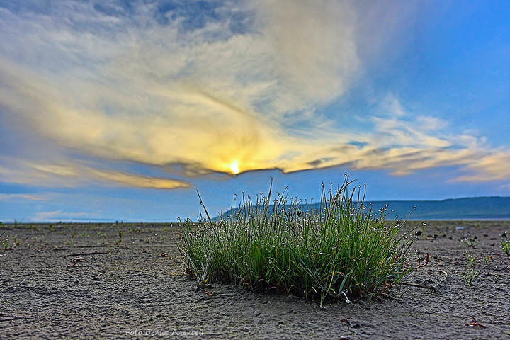 и тихо просыпался день...