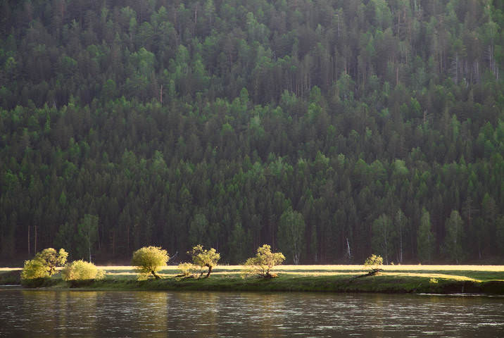 Берег