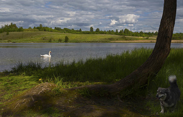 озеро Городищенское