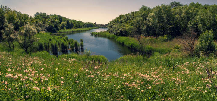Июнь