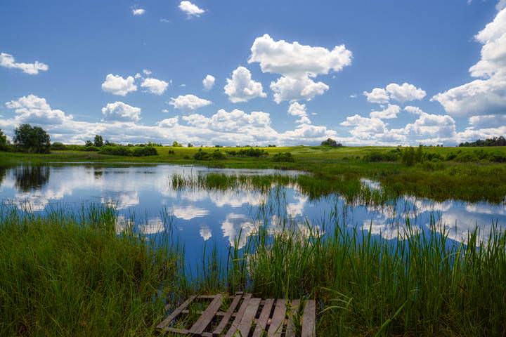 мечта рыбака