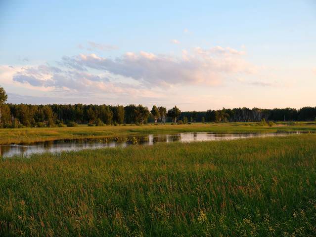 Сибирский уголок.