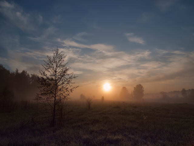 На утренней фотопрогулке