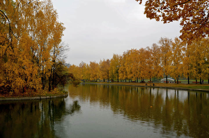 Осенний парк