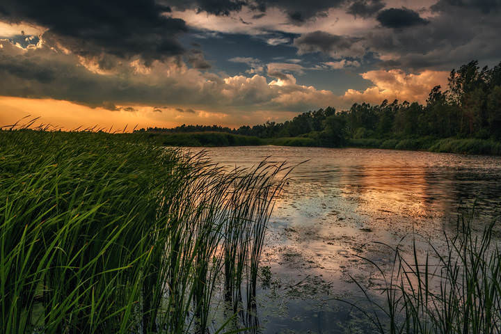 DSC_0065 копия