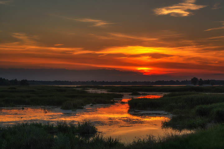 DSC_0500 копия