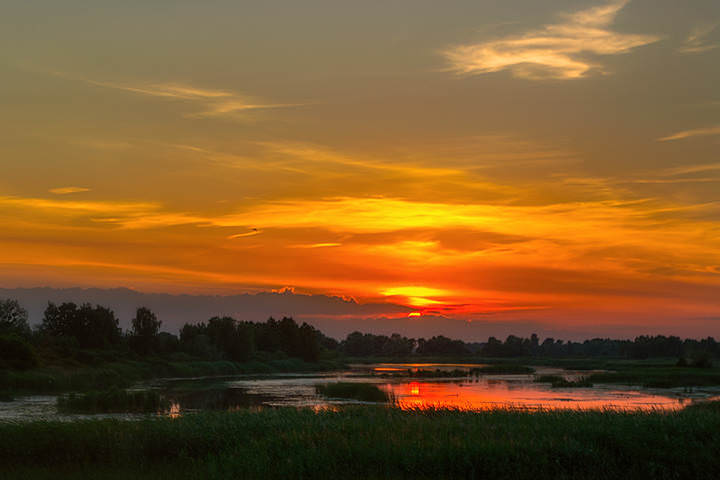 DSC_0496 копия