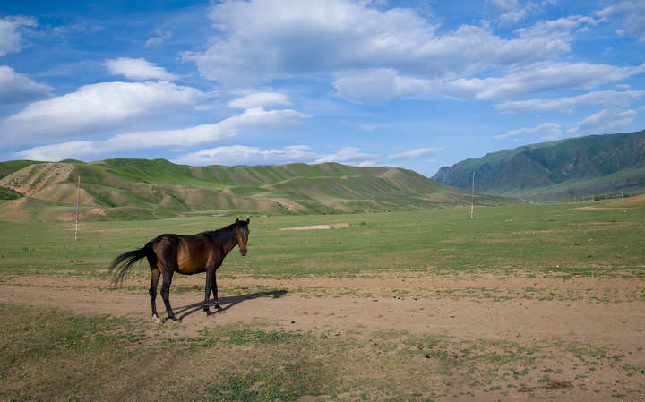 КАНДАЛЫ