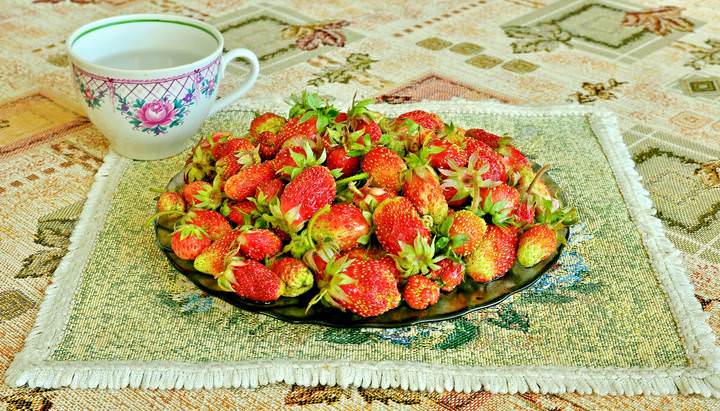 Первая домашняя клубника