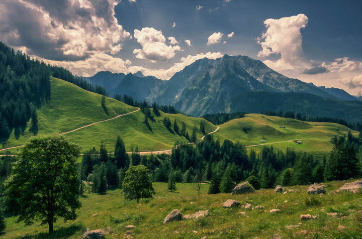 Гуляя  по Йеннеру