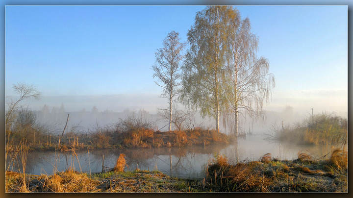  Майское утро ...