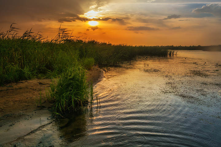 DSC_0109 копия