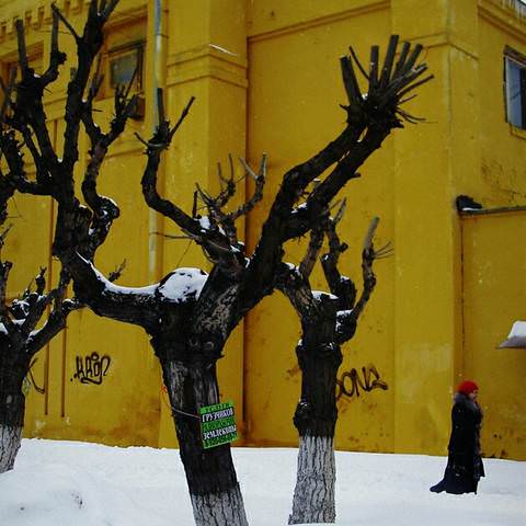 Полтора землекопа