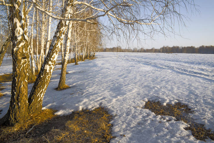 Весеннее тепло