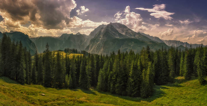 Спускаясь с Йеннера
