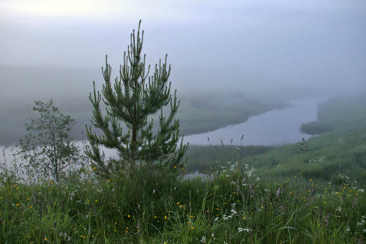 Туманные хроники.