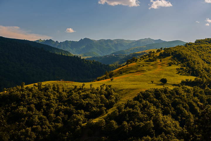 Летнее настроение