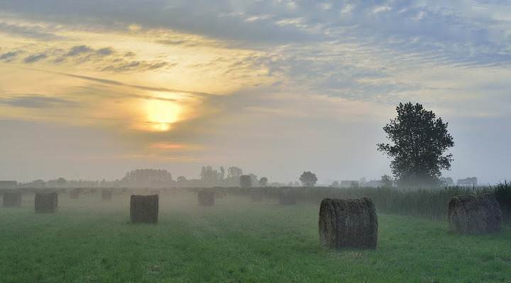 a summer morning.