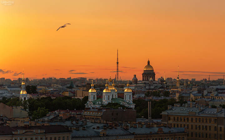 Про Питер и его символы