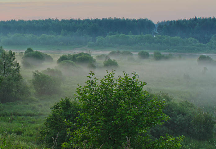 Утренняя пелена.