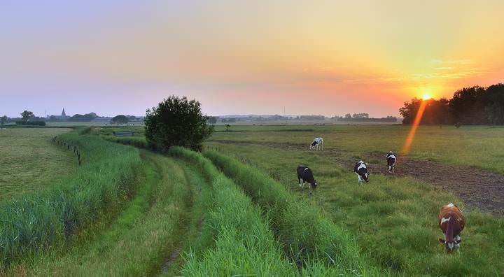 The beginning of a warm summer day.