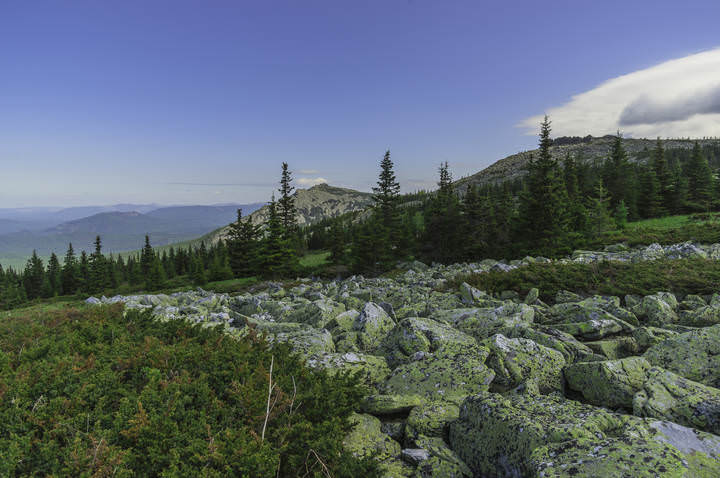 Каменная река. Урал. Иремель.