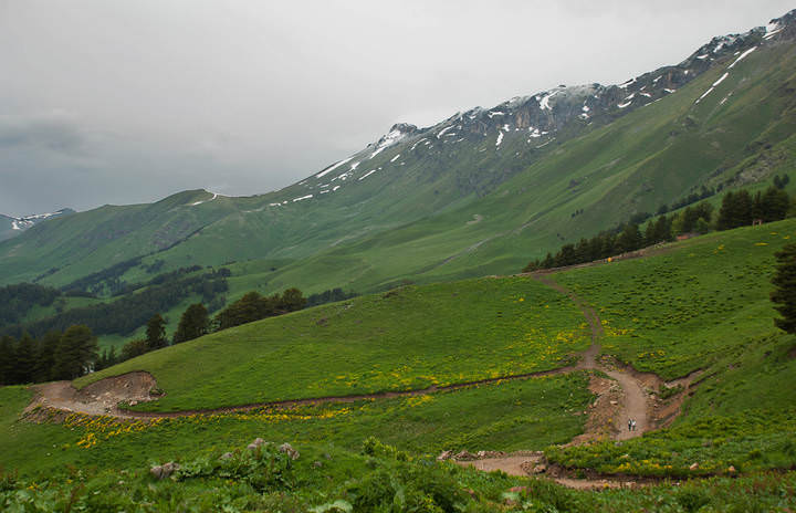 Одни
