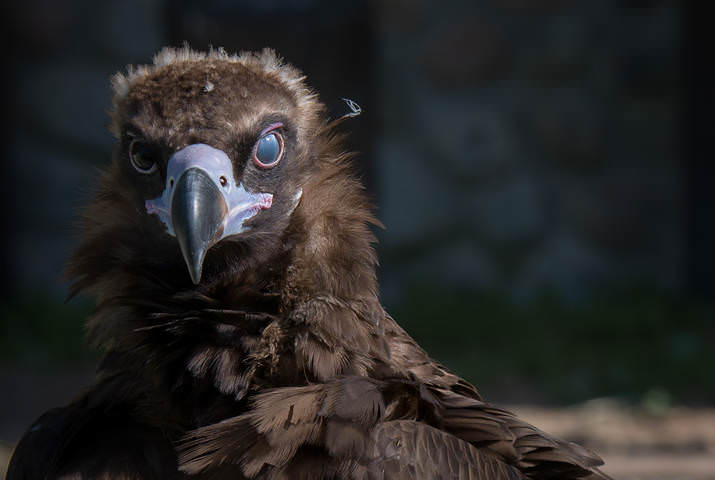  день и ночь
