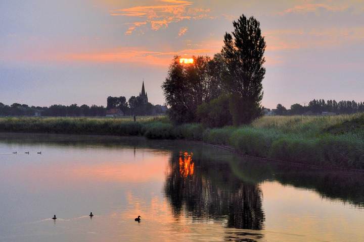 Colors of a summer morning.