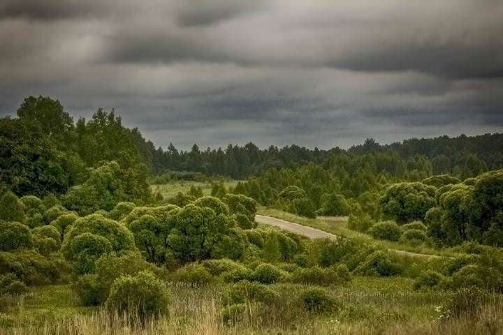 С дорогой