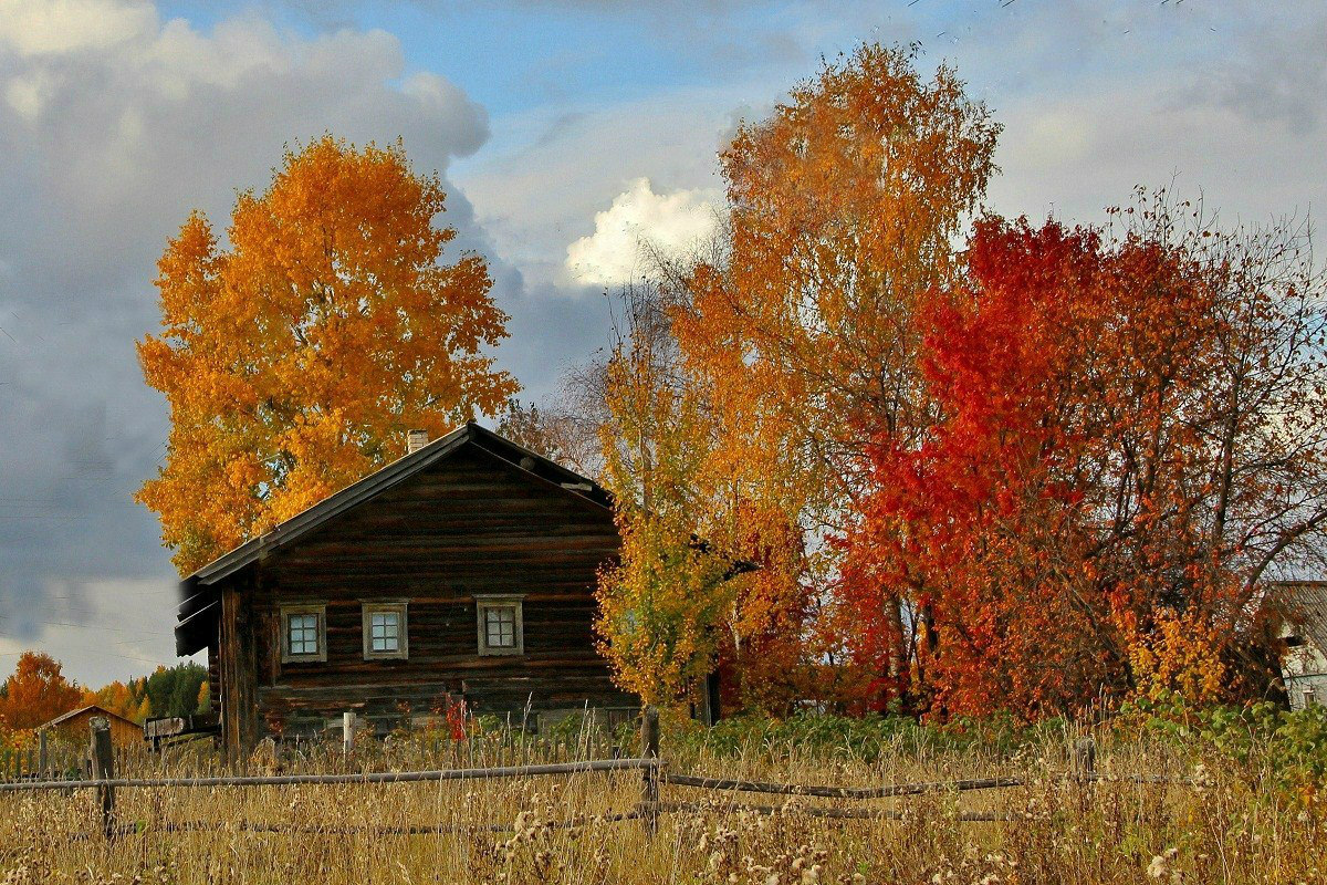 Осень в Тарасово.