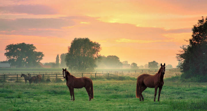 A summer morning.