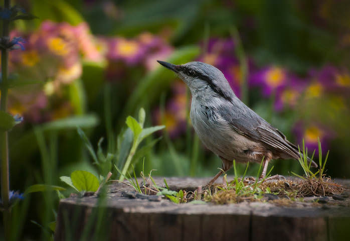 На стороже