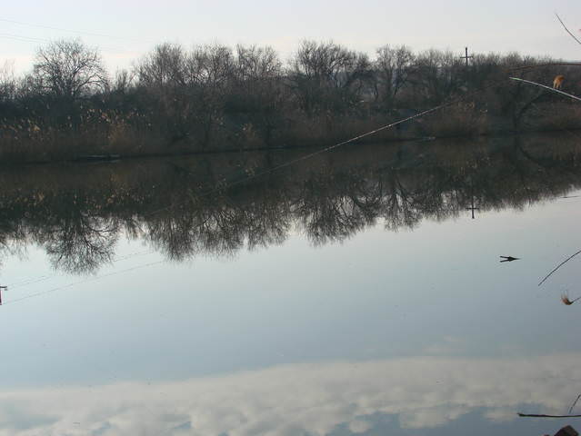 DSC00287