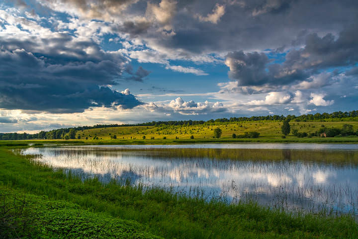 DSC_2145 копия