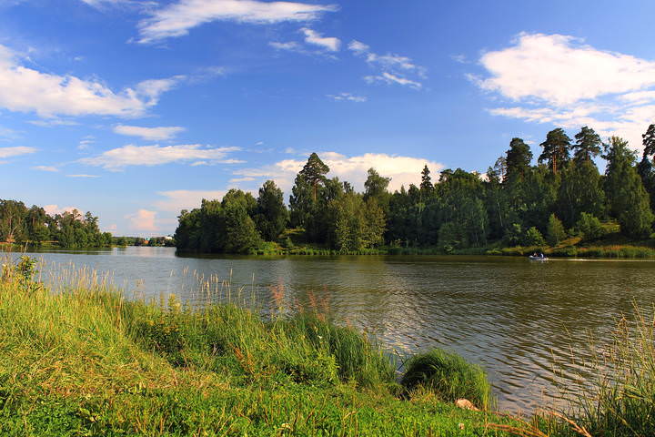 Летние зарисовки