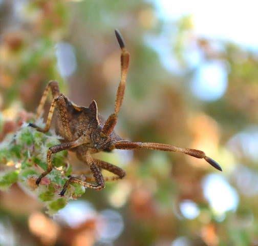 # 2