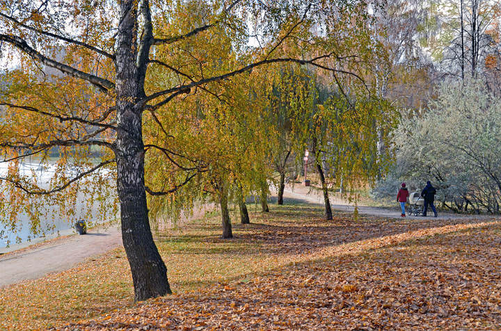 Листва под ногами