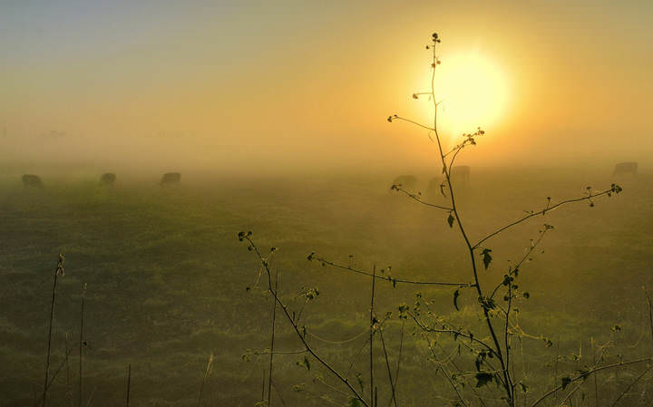 A summer morning.