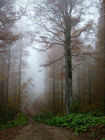 Вечерело